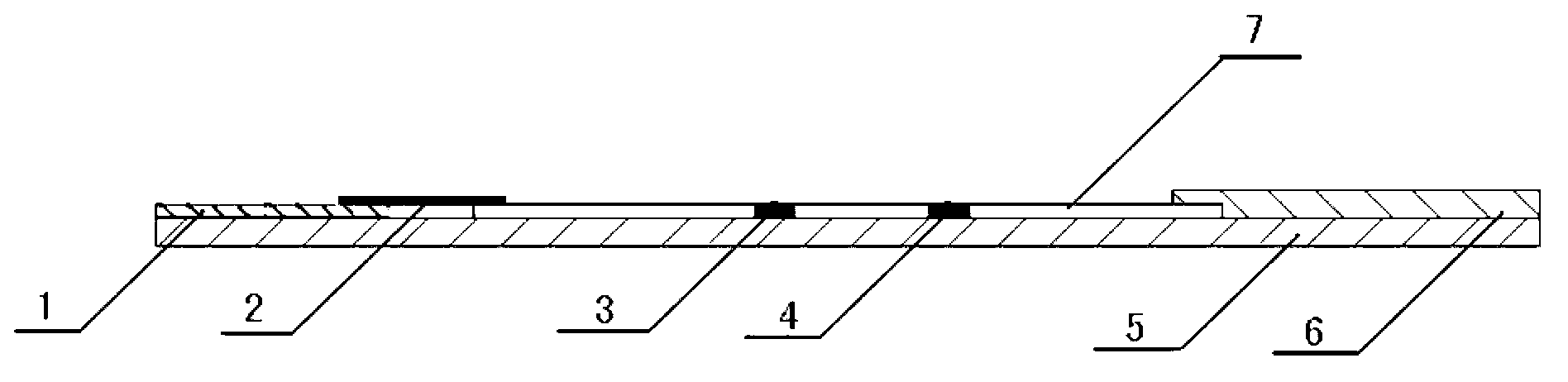 Magnetic biological probe and test strip for detecting hepatitis B virus (HBV) and preparation method and using method of biological probe