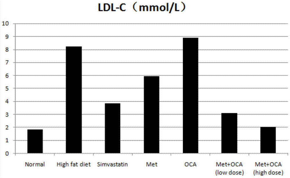 Obeticholic acid and metformin composition and application thereof