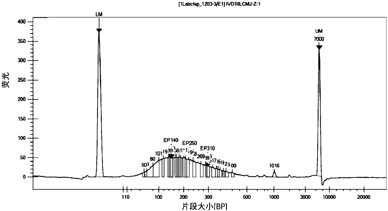 Enhancer for free circulating tumor DNA extraction, kit and method for extracting free circulating tumor DNA in peripheral blood