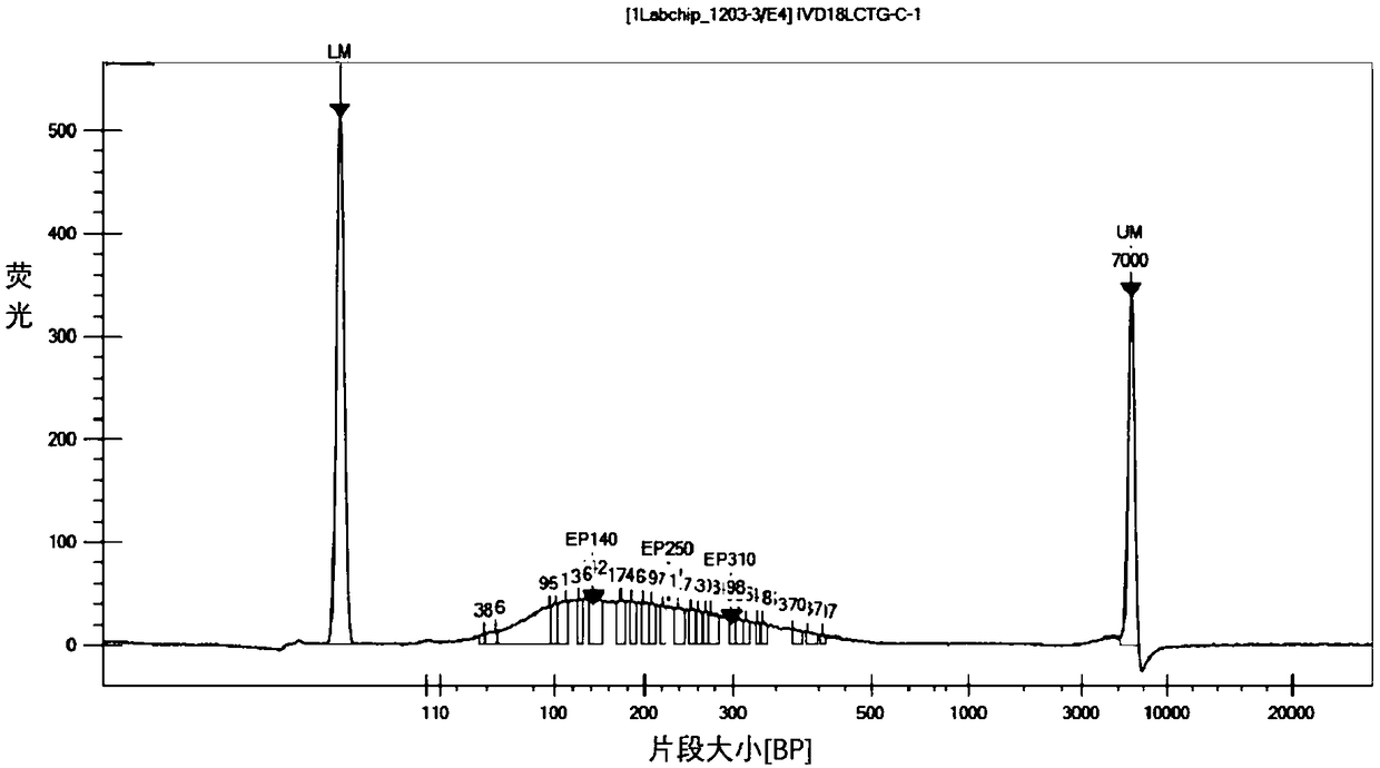 Enhancer for free circulating tumor DNA extraction, kit and method for extracting free circulating tumor DNA in peripheral blood