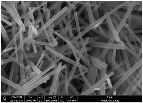 Palladium-nickel-cobalt-sulfur composite nanotube array electrocatalyst grown on conductive substrate and preparation method and application of electrocatalyst