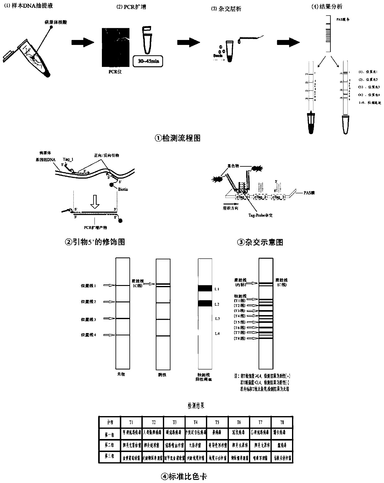 Kit for detecting respiratory pathogens of community-acquired pneumonia