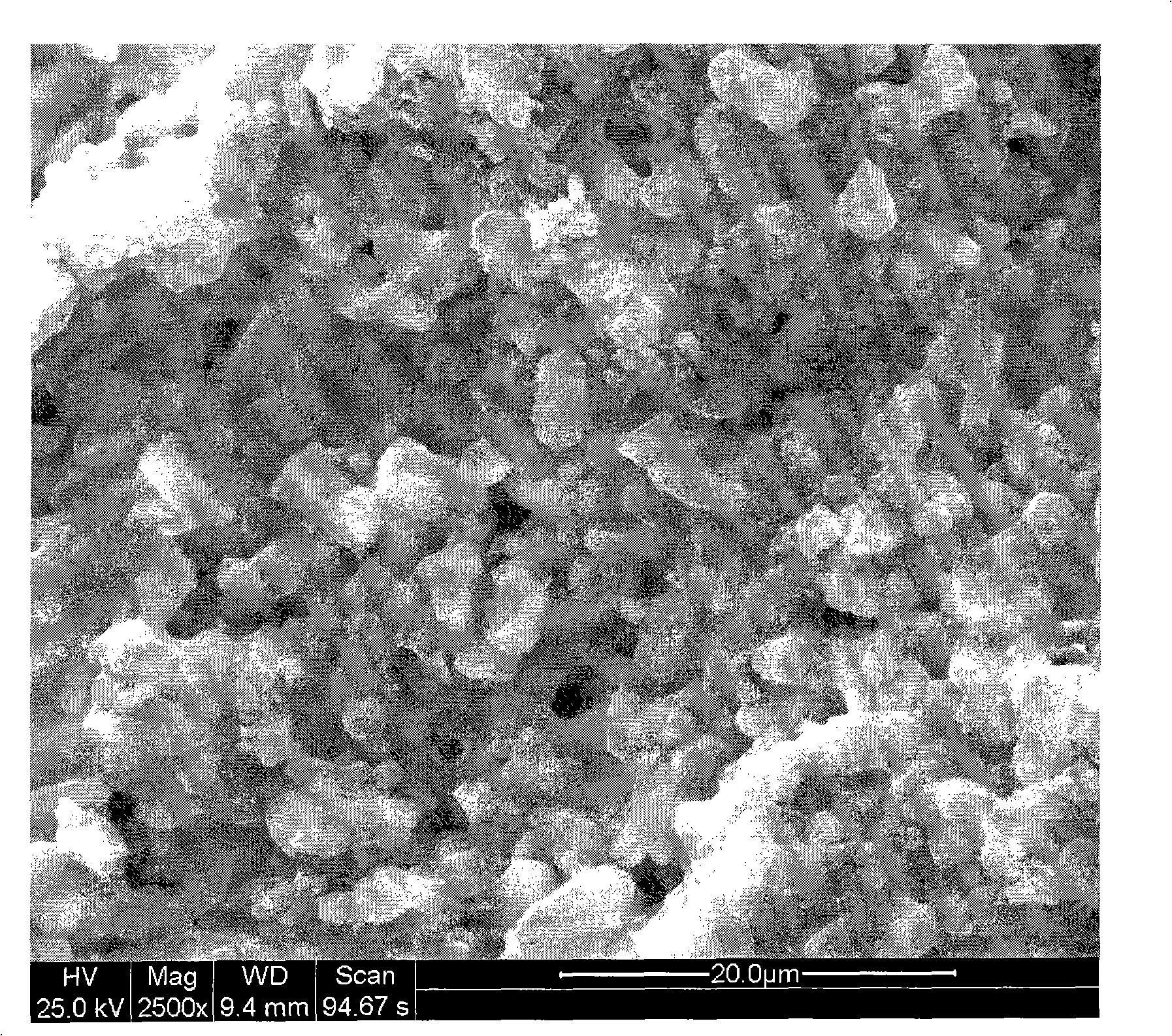 Preparation of toluene shape-selective disproportionation without adhesive