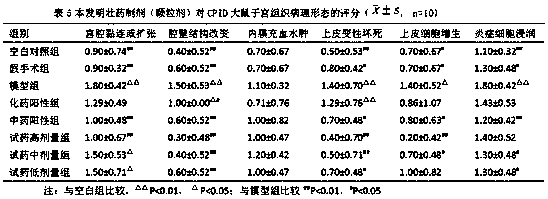 Zhuang Autonomous Region medicine preparation for treating chronic pelvic inflammatory disease sequela and preparing method thereof