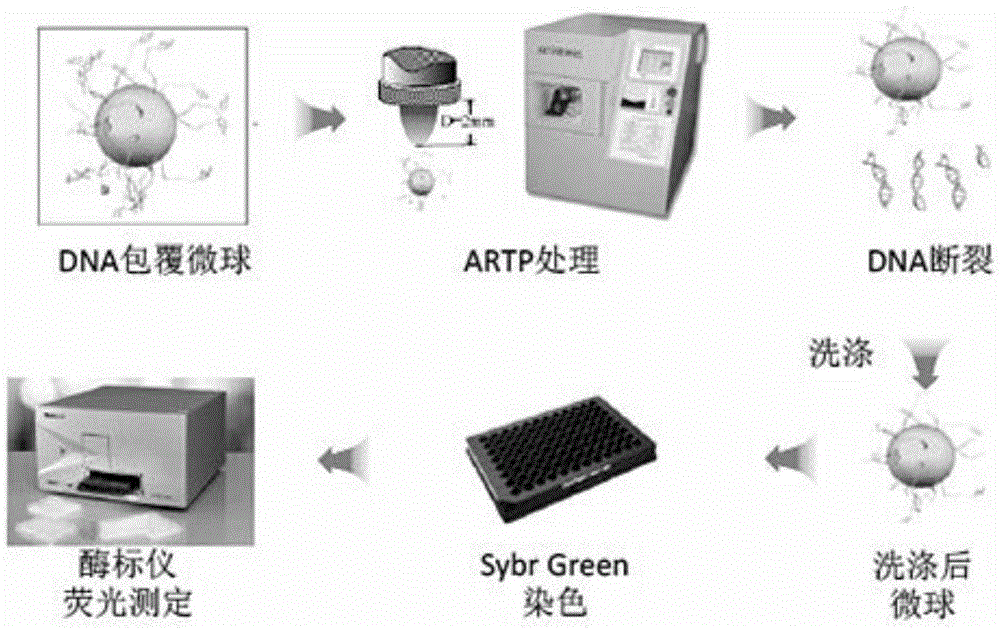 Method for rapid detection of in vitro DNA break damage strength by plasma