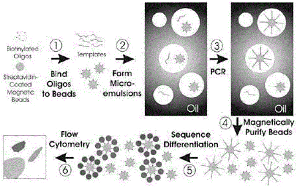 Method for rapid detection of in vitro DNA break damage strength by plasma