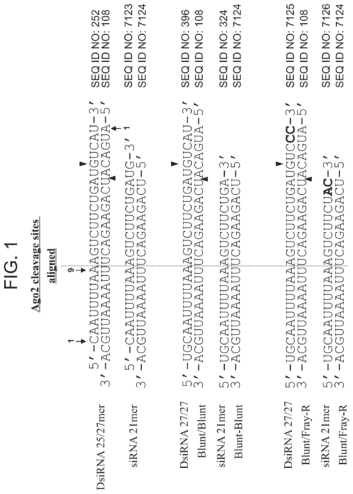 Therapeutic inhibition of lactate dehydrogenase and agents therefor