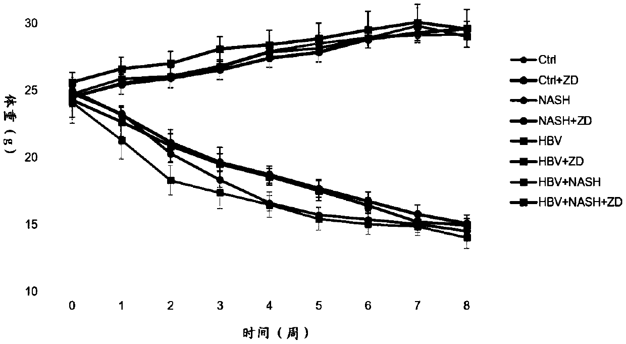 Uses of Lycium barbarum