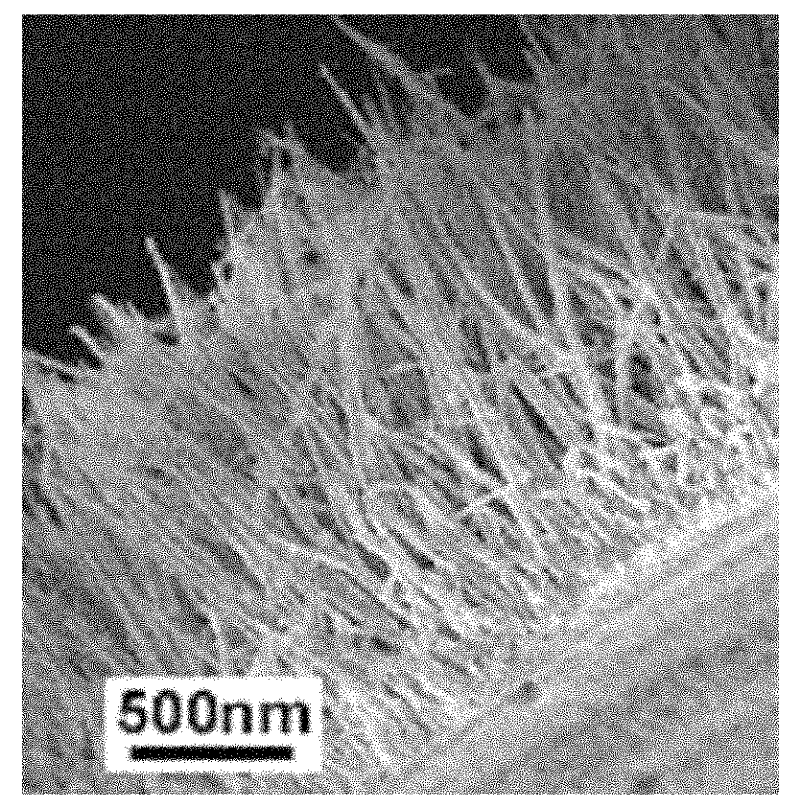 Preparation method of blanket type light anode for dye sensitized solar cell