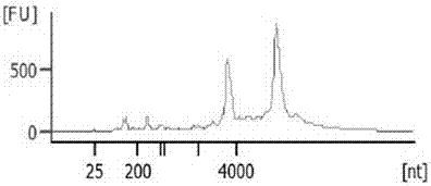 A method for extracting genomic dna and rna from a fine needle aspiration material