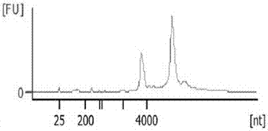 A method for extracting genomic dna and rna from a fine needle aspiration material