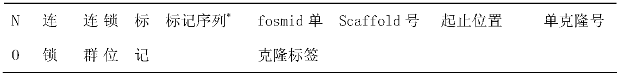 Probe for identifying central centromere chromosomes of patinopecten yessoensis and preparation method thereof