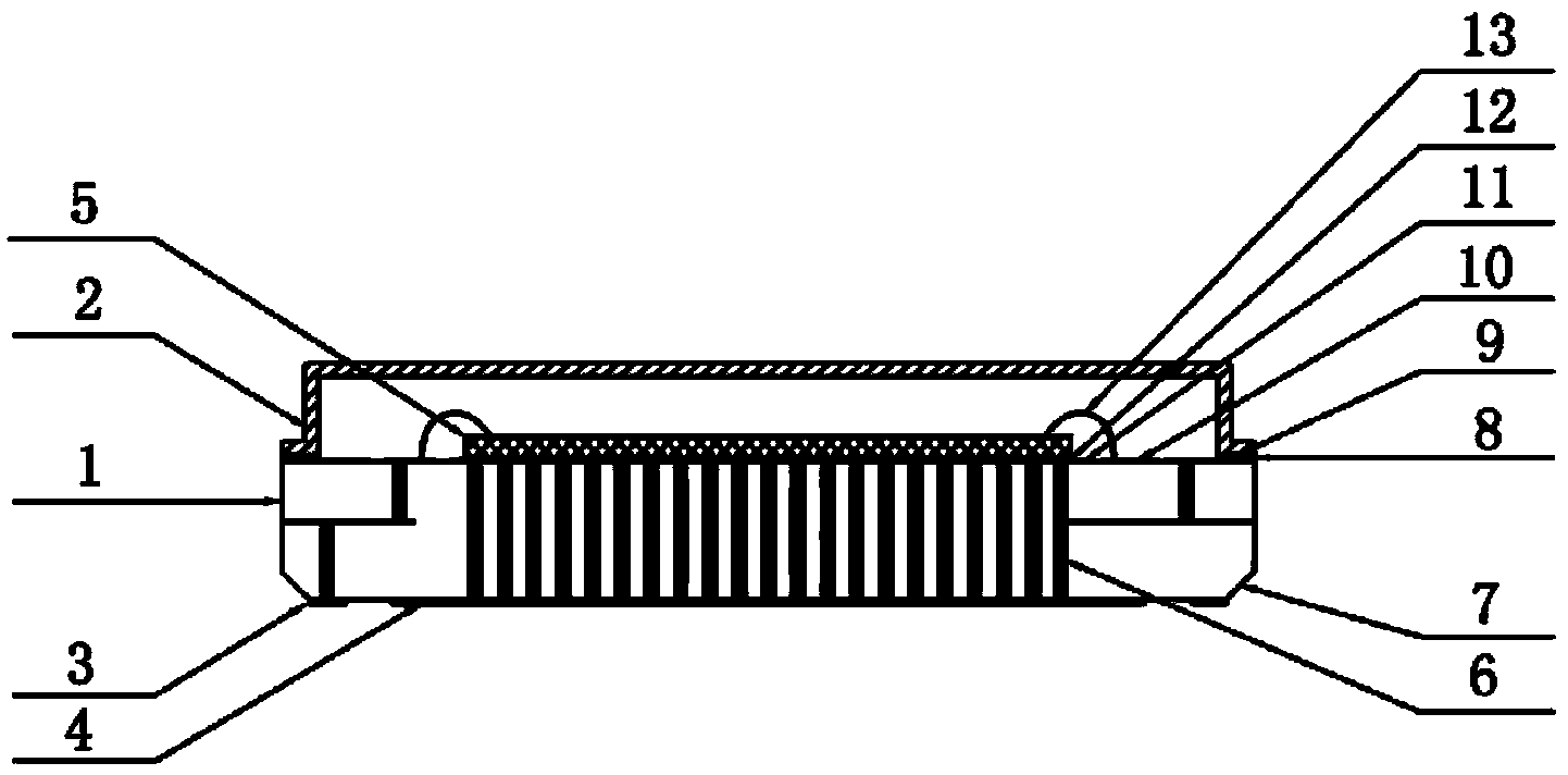 Leadless ceramic chip carrier packaging structure and process for manufacturing same