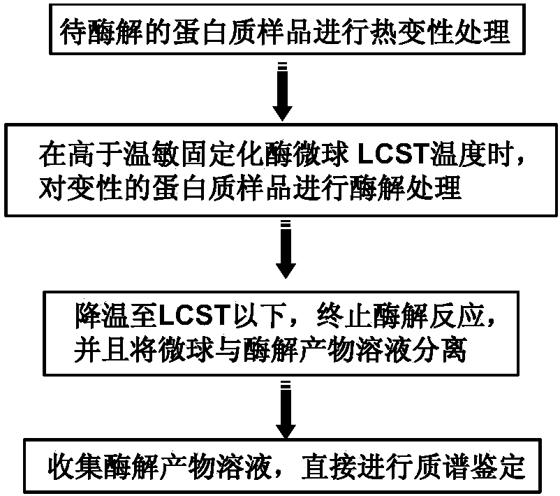 Immobilized enzyme based protein enzymolysis method