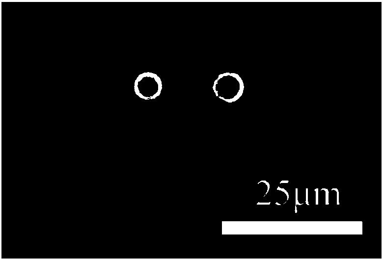 Immobilized enzyme based protein enzymolysis method