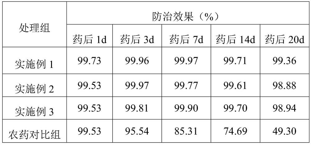 Botanical preparation for preventing and treating red spiders and application of botanical preparation