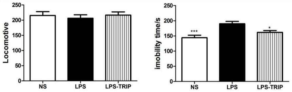 Application of triptorelin