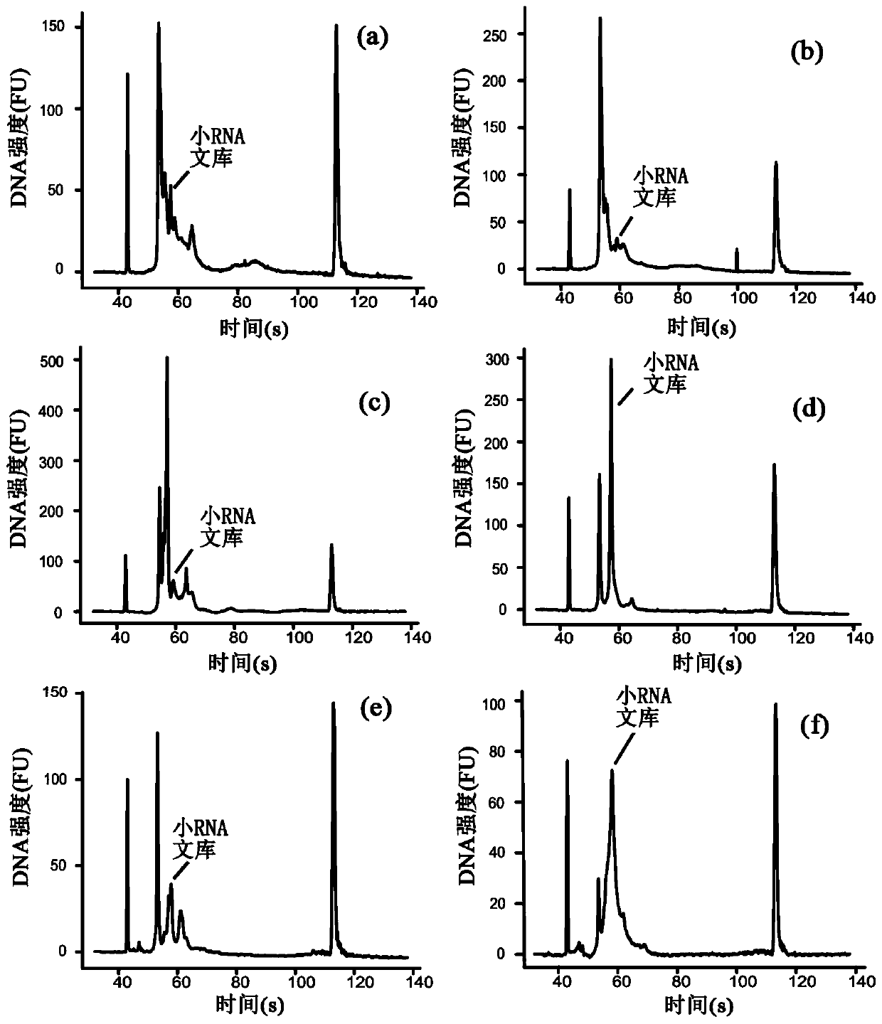 Method for establishing high-throughput single-cell small RNA (ribonucleic acid) library