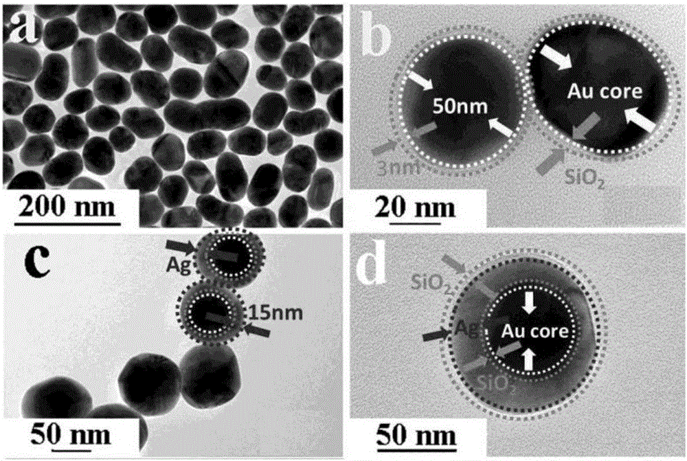 Multilayer core-shell structured Au@SiO2@Ag@SiO2 nano composite material and preparation method therefor