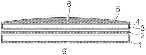 A button-type implanted medical diagnostic device