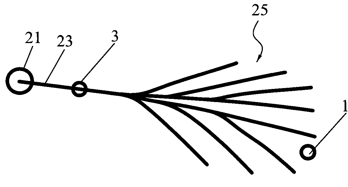 Coal bed methane multi-branch horizontal well system and auxiliary discharge well thereof