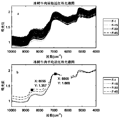 Rapid identification method for different storage times of iced fresh beef