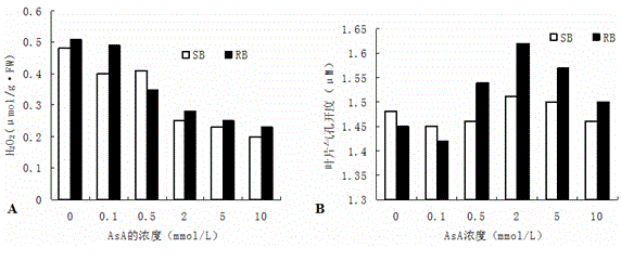 Application of ascorbic acid to improvement of plant photosynthesis efficiency