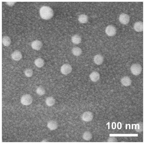 Polypeptide, polypeptide nano drug-loading carrier and preparation method of polypeptide and polypeptide nano drug-loading carrier