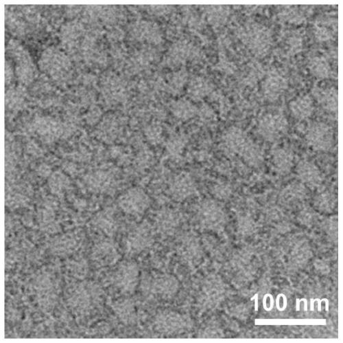 Polypeptide, polypeptide nano drug-loading carrier and preparation method of polypeptide and polypeptide nano drug-loading carrier