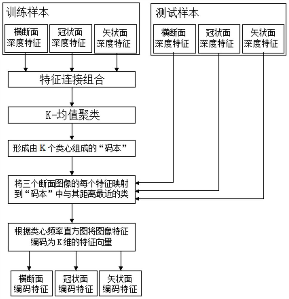 A classification method based on deep bag of features