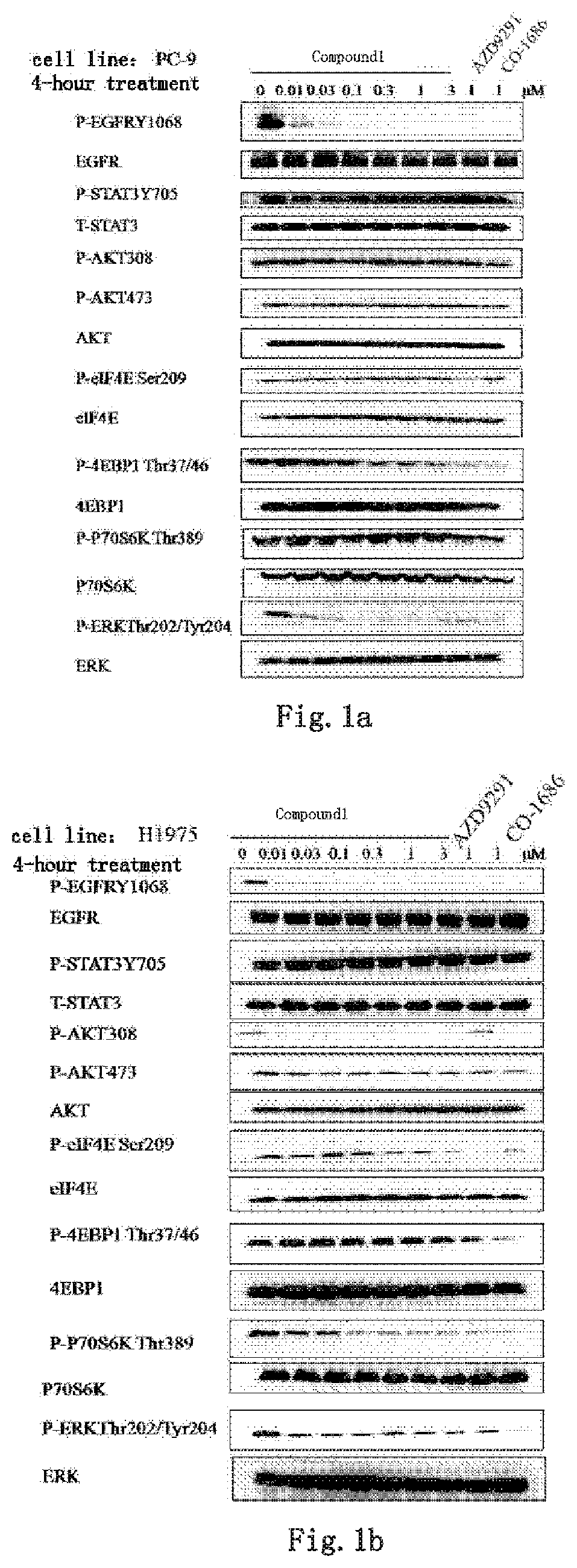 Kinase inhibitor against wild-type and mutant EGFR