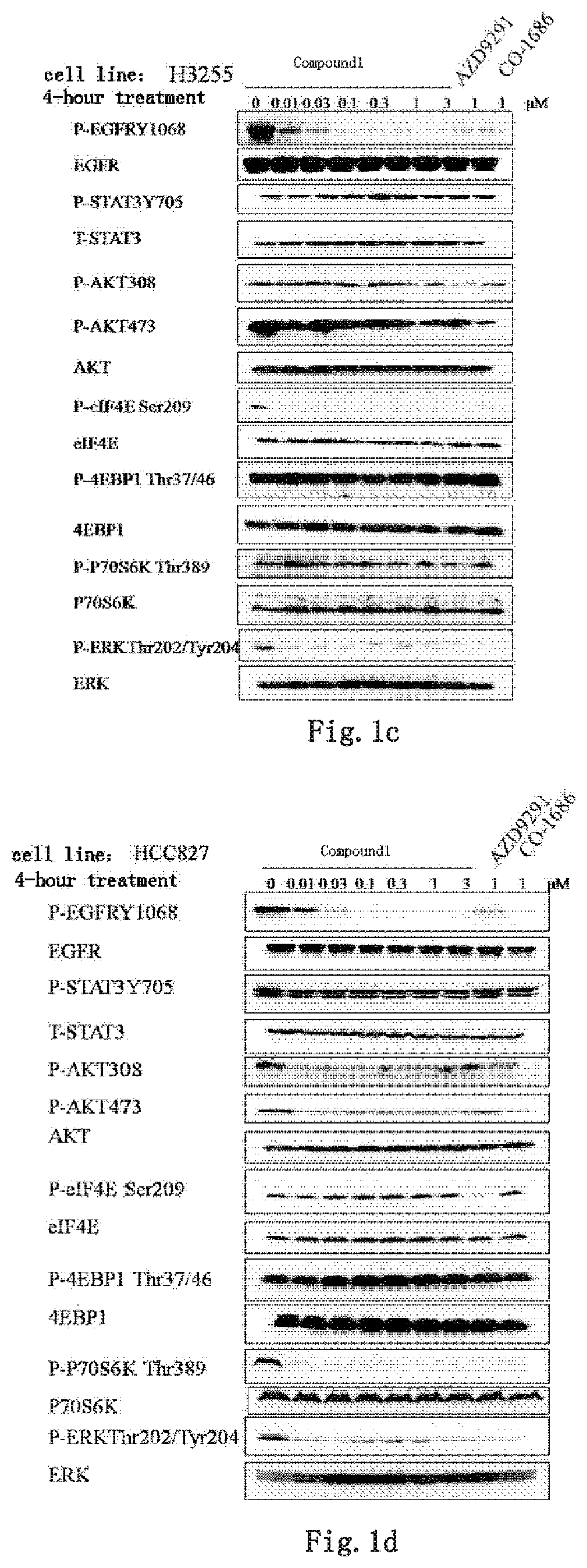 Kinase inhibitor against wild-type and mutant EGFR