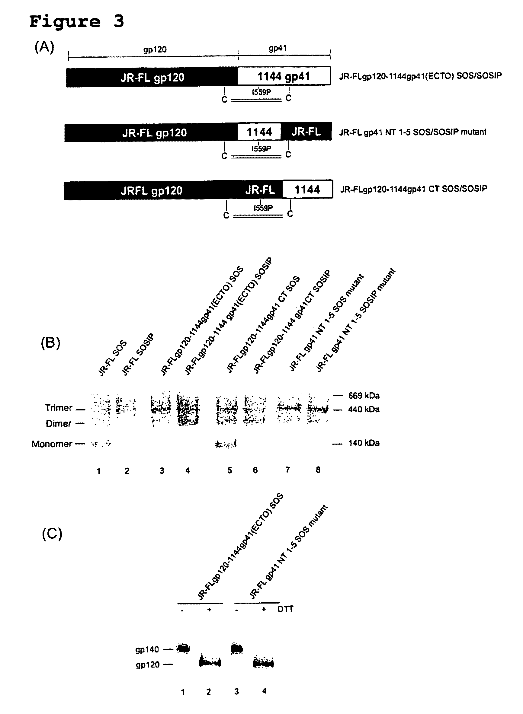 Soluble, stabilized, proteolytically cleaved, trimeric HIV-1 gp140 proteins comprising modifications in the N-terminus of the gp41 ectodomain