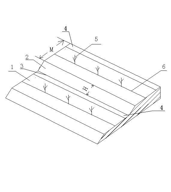 Minimum-tillage and no-tillage mulching cultivation method of lemon orchard