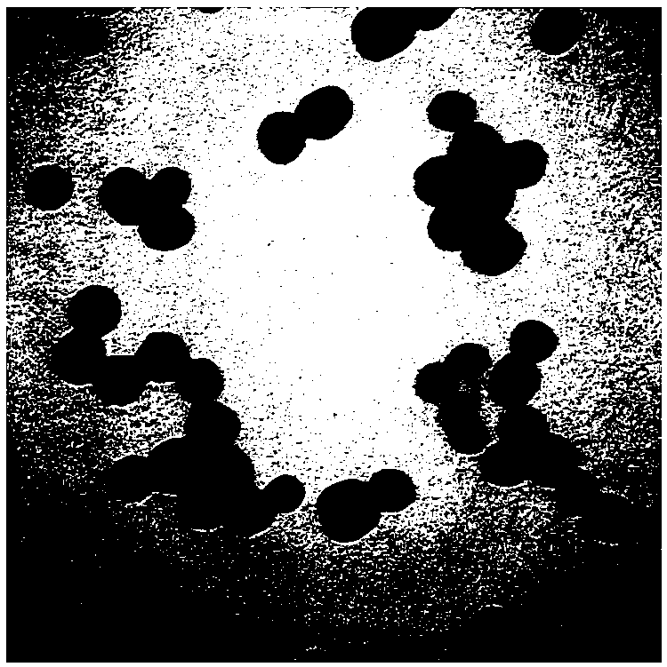 Photosensitizer and preparation method thereof