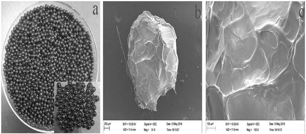 Preparation method of iron ion croscarmellose in-situ growing Prussian-blue microsphere adsorbing material