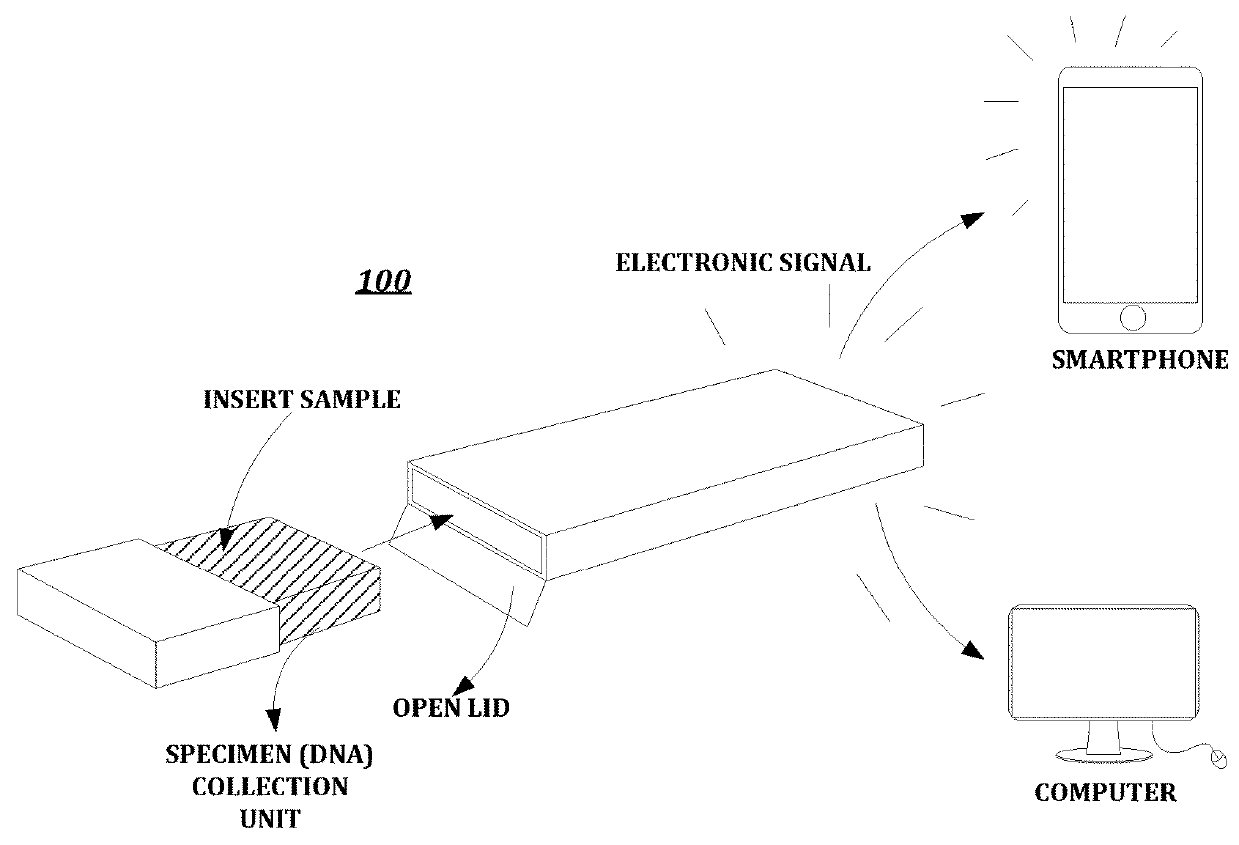 Method for detection of a nucleic acid target sequence