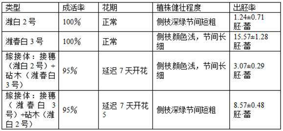 Method for improving germplasm creation efficiency of Chinese cabbage