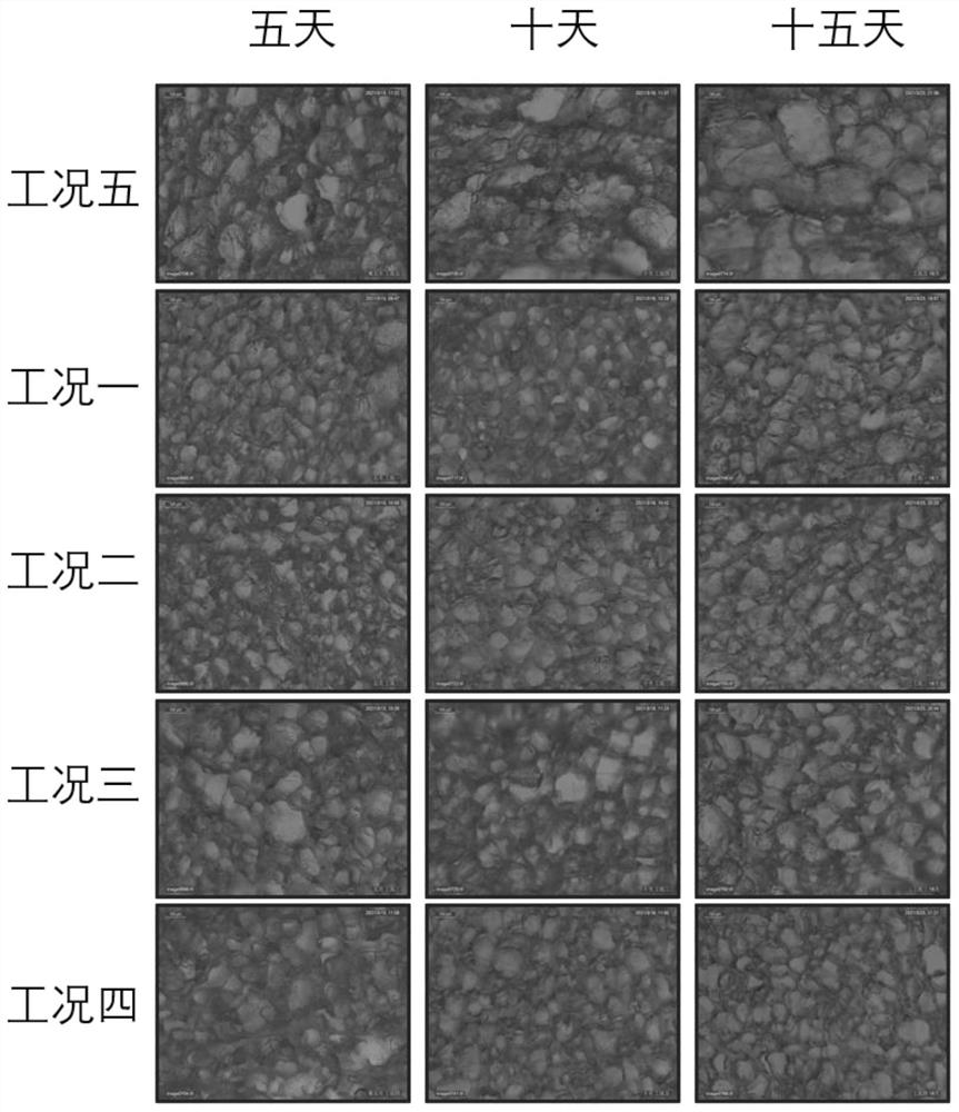 Variable intermittent ratio magnetic field assisted storage method for meat