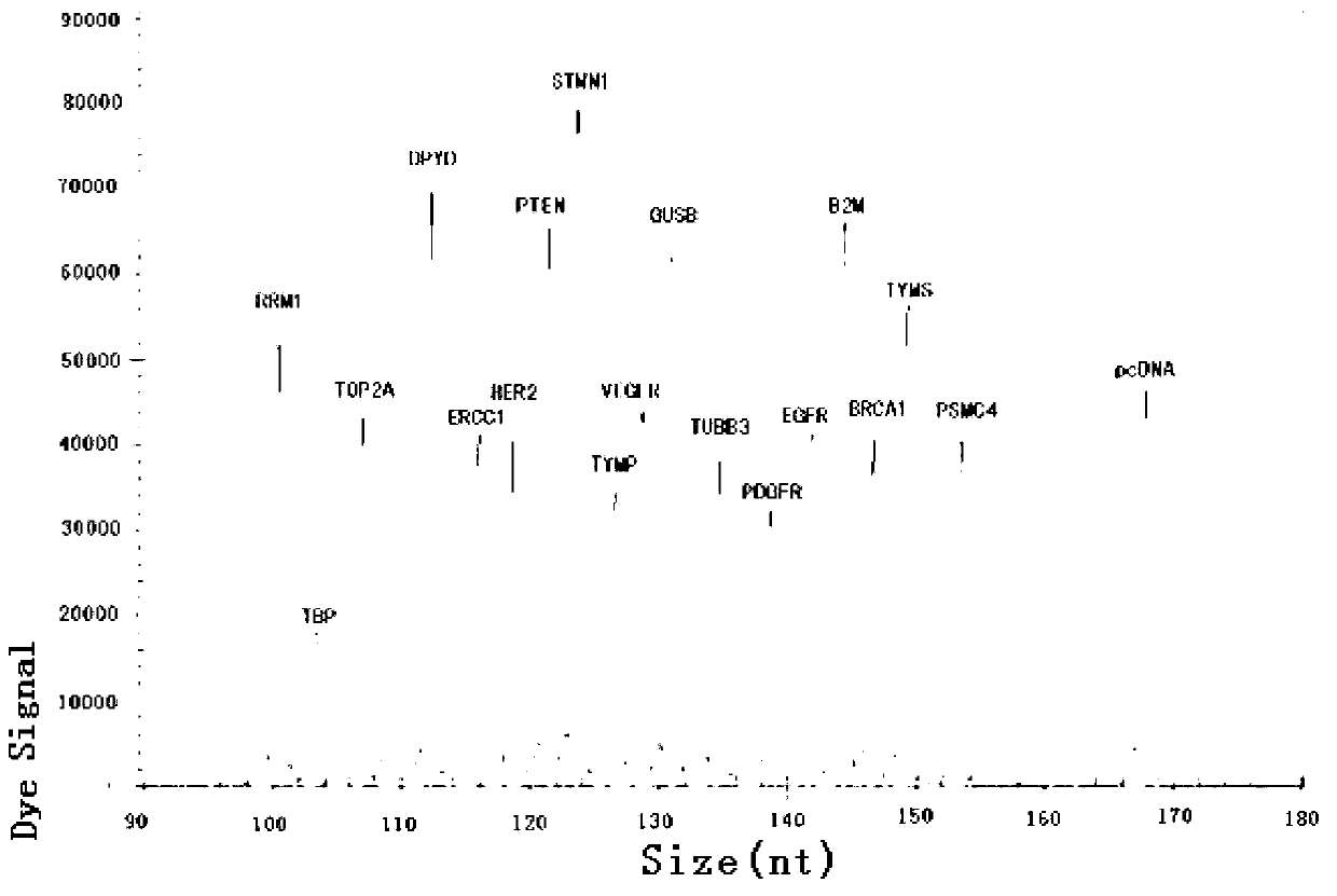 Kit for synchronously detecting related gene expression level of 14 antitumor drugs by using paraffin embedding biopsy sample, and detection method thereof