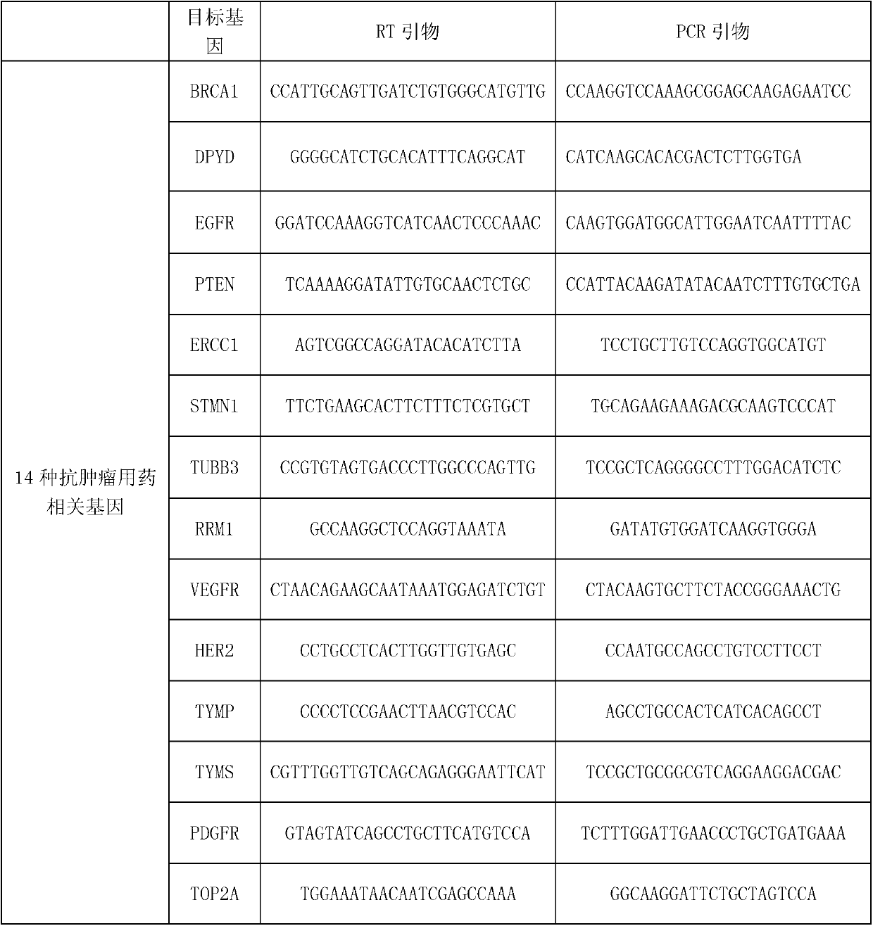 Kit for synchronously detecting related gene expression level of 14 antitumor drugs by using paraffin embedding biopsy sample, and detection method thereof