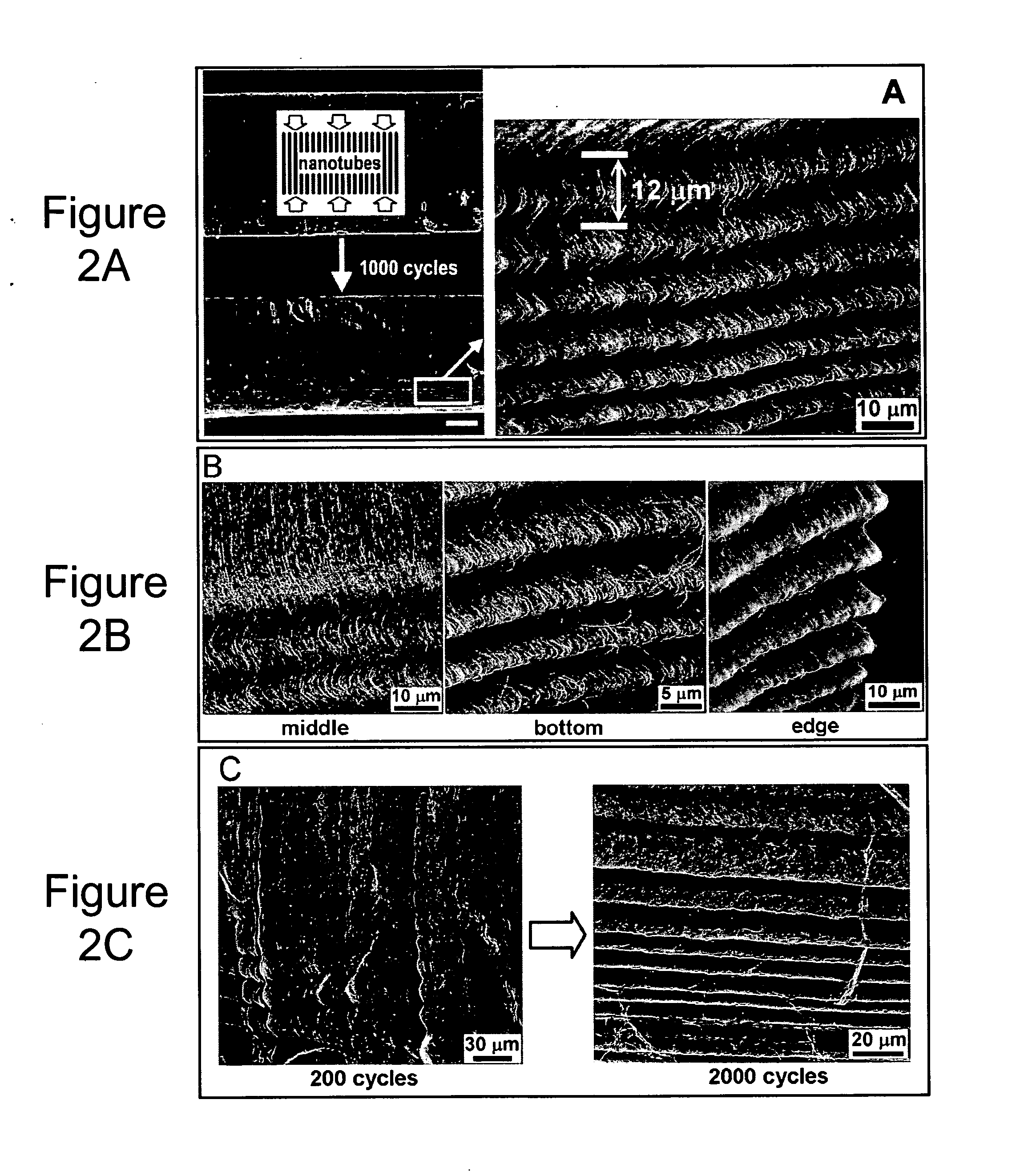 Super-compressible carbon nanotube films and micro-bundles