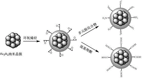 A preparation method of functional magnetic adsorbent for industrial wastewater treatment