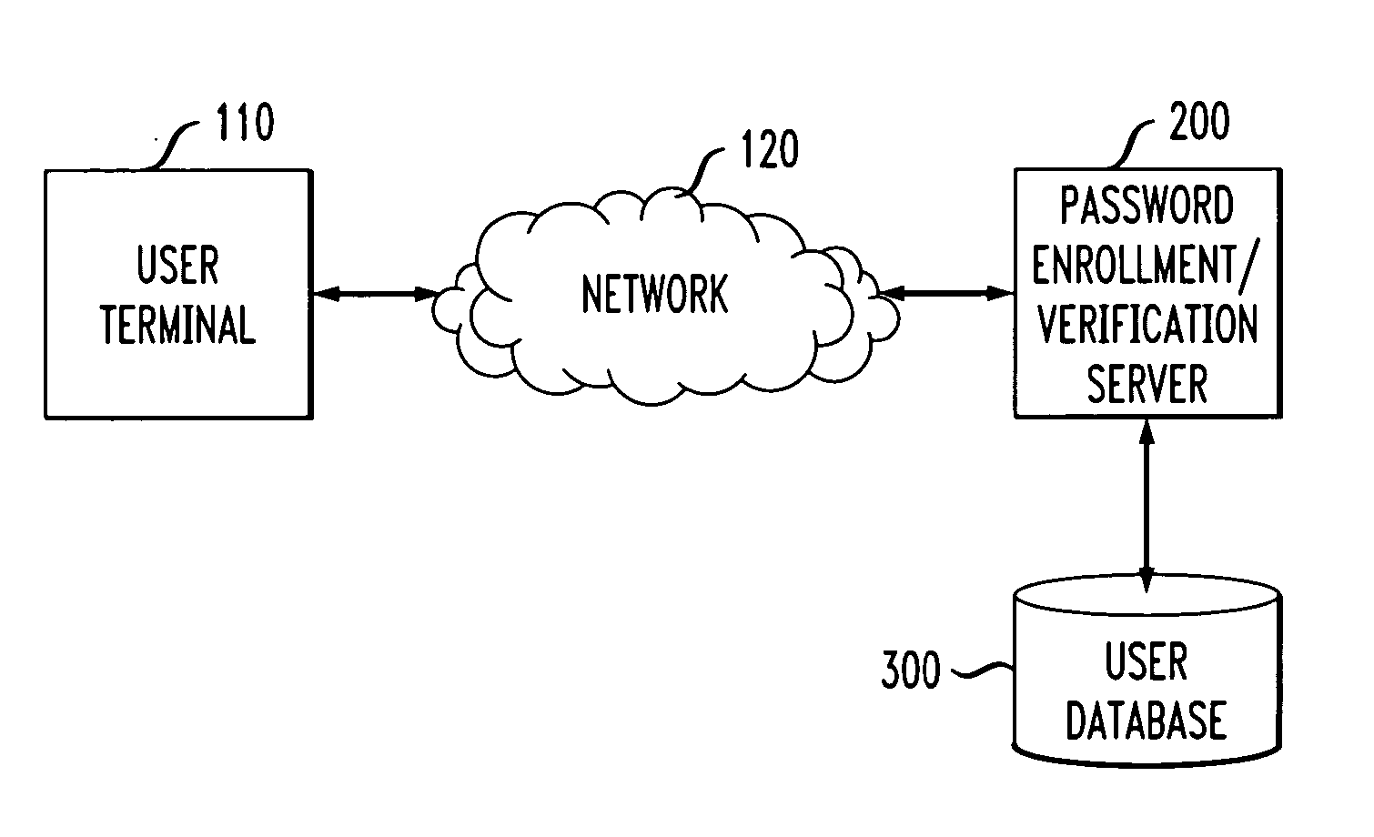 Method and apparatus for verifying security of authentication information extracted from a user