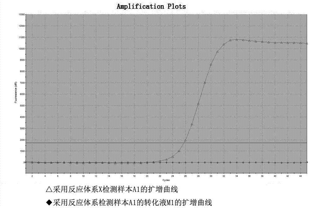 Primer probe system for SEPT9 (septin-9) gene methylation detection and kit adopting primer probe system