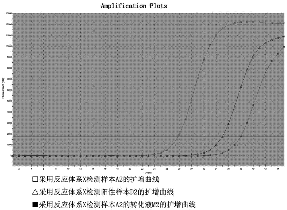 Primer probe system for SEPT9 (septin-9) gene methylation detection and kit adopting primer probe system