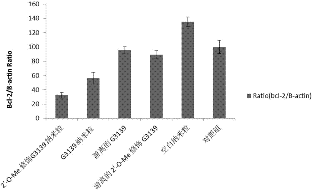 Lipid nanoparticle for inhibiting antisense oligonucleotide of bcl-2 and preparation method of lipid nanoparticle