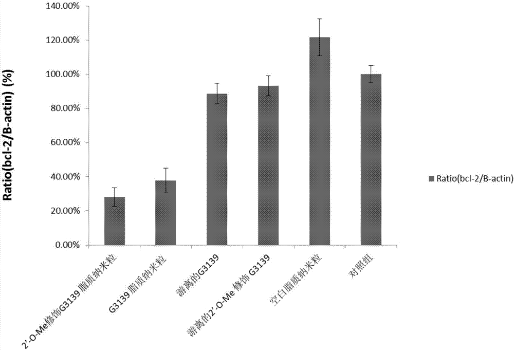 Lipid nanoparticle for inhibiting antisense oligonucleotide of bcl-2 and preparation method of lipid nanoparticle