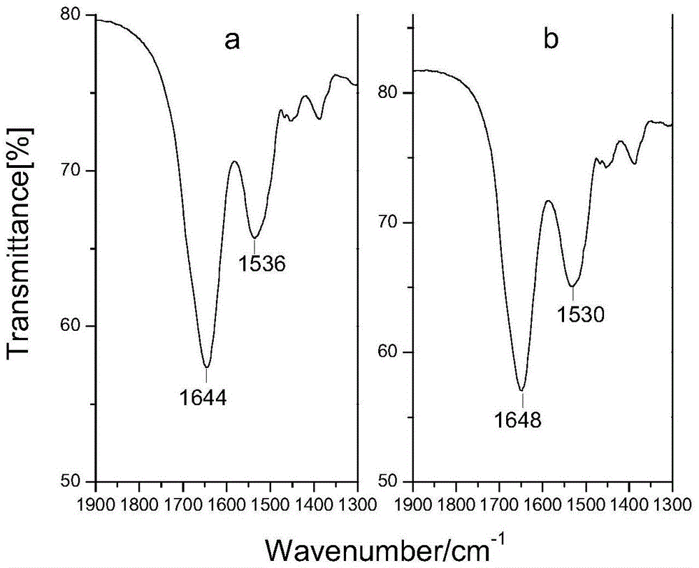 Graphene-hydrotalcite-like sheet-graphite phase carbon nitride composite immobilized protein modified electrode and preparation method and application thereof