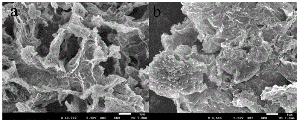 Graphene-hydrotalcite-like sheet-graphite phase carbon nitride composite immobilized protein modified electrode and preparation method and application thereof